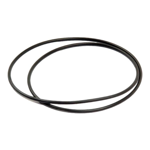 O-RING BUJES SOPORTE DEL EJE R113762